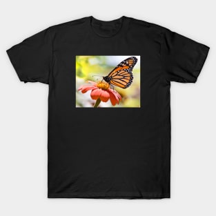 Monarch Butterfly T-Shirt